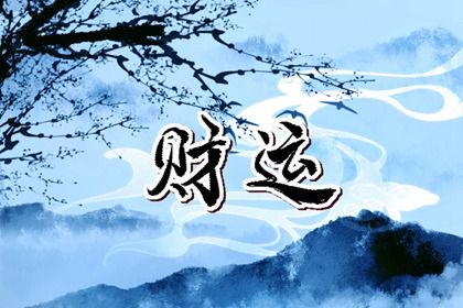 建议建立流年档案