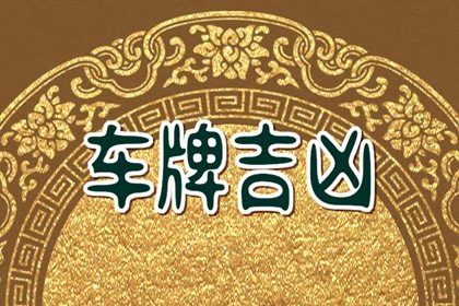 卦象栏要看哪几行