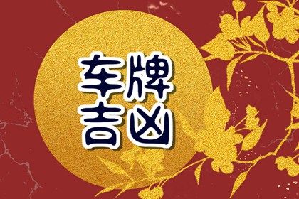 工具与心理投射