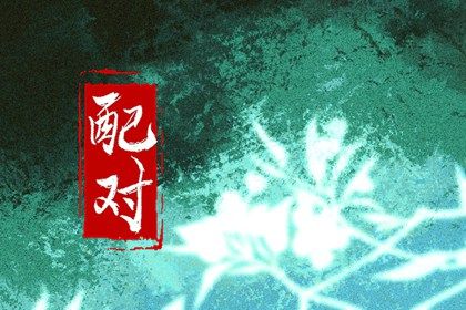 纳音与文化延伸