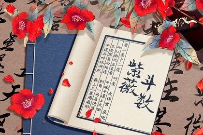 兄弟宫的含义